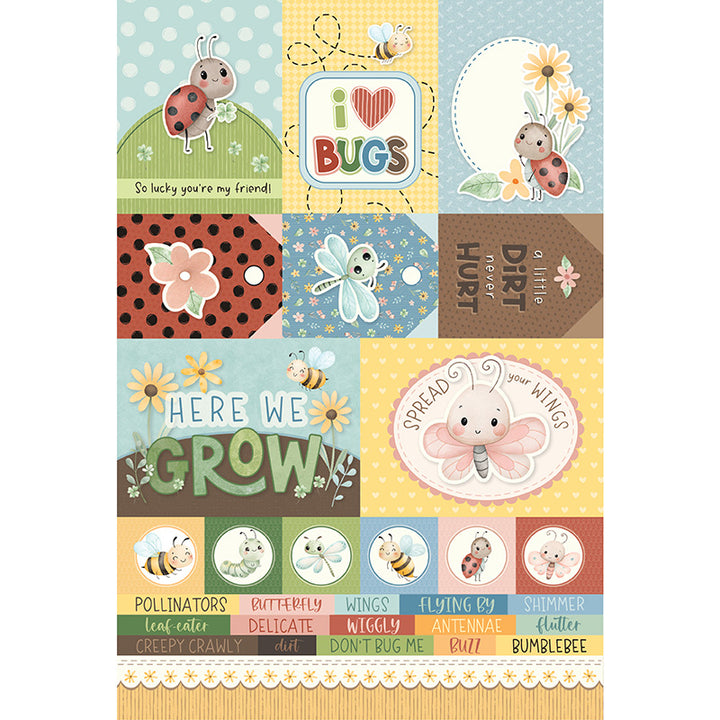 Bugs - Collection Pack 6x9
