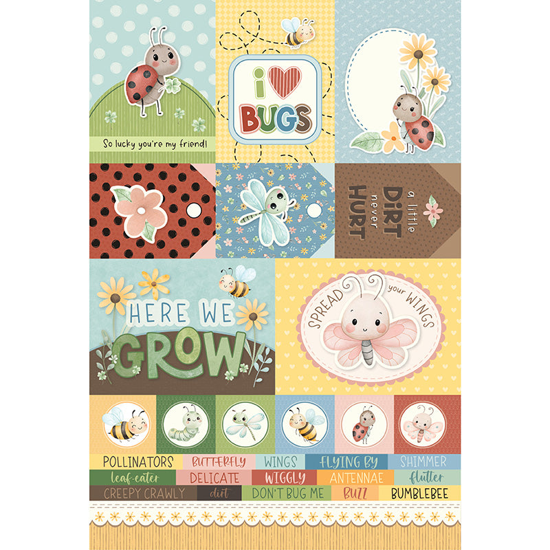 Bugs - Collection Pack 6x9