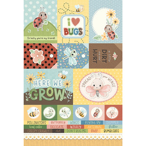 Bugs - Collection Pack 6x9