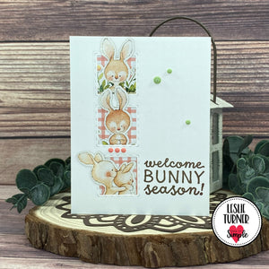 Bunny Season - Collection Stamp - 6x8 Bunny Season